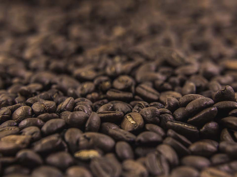 
      The Ultimate Guide to Coffee Beans: Types, Flavours & Brewing
    