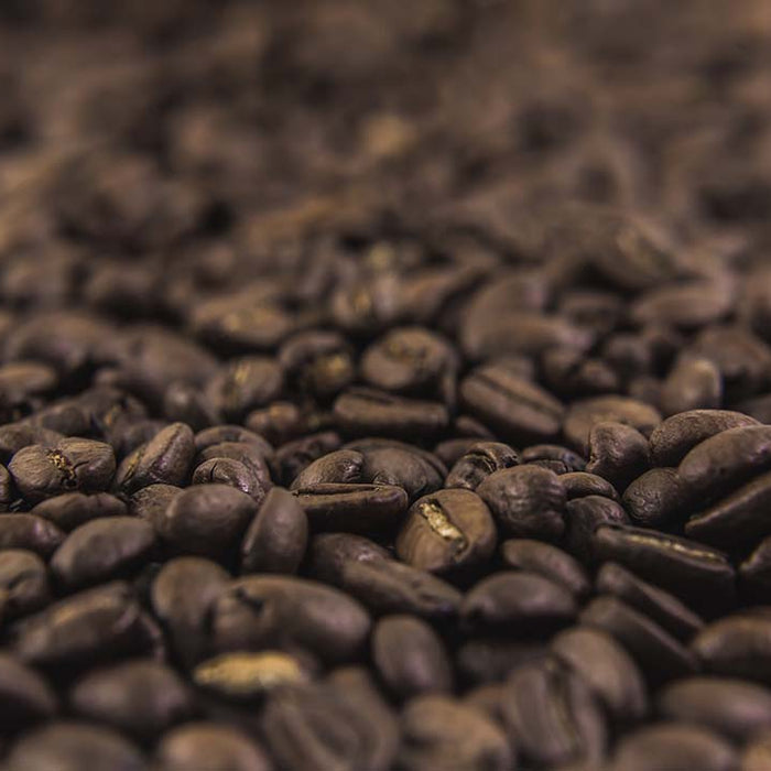 The Ultimate Guide to Coffee Beans: Types, Flavours & Brewing