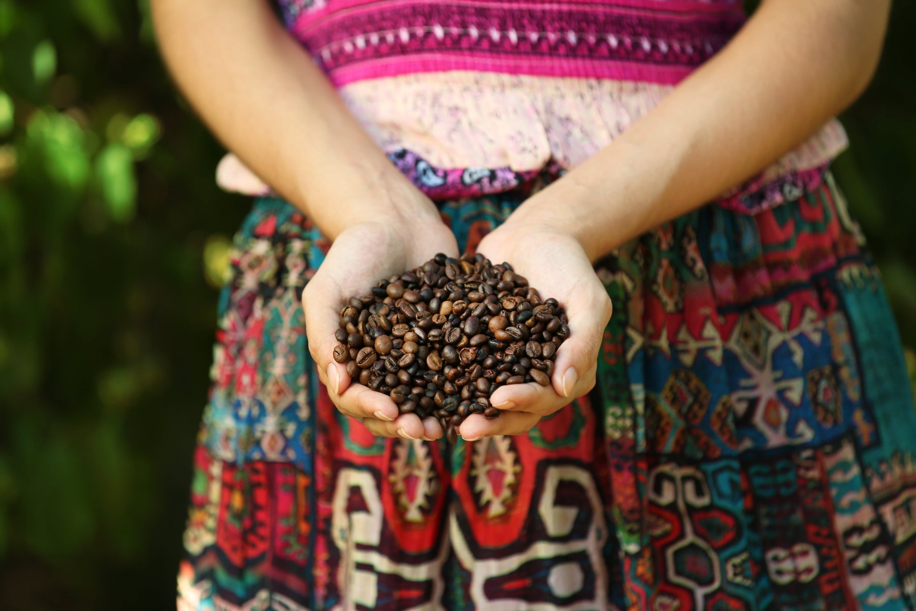 What is Arabica Coffee? A Guide to the World’s Favourite Bean