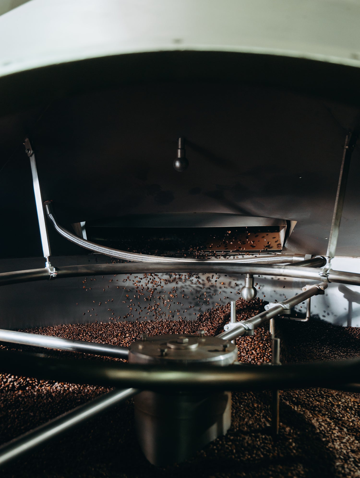 Need Wholesale Coffee for your business? We have you covered!
