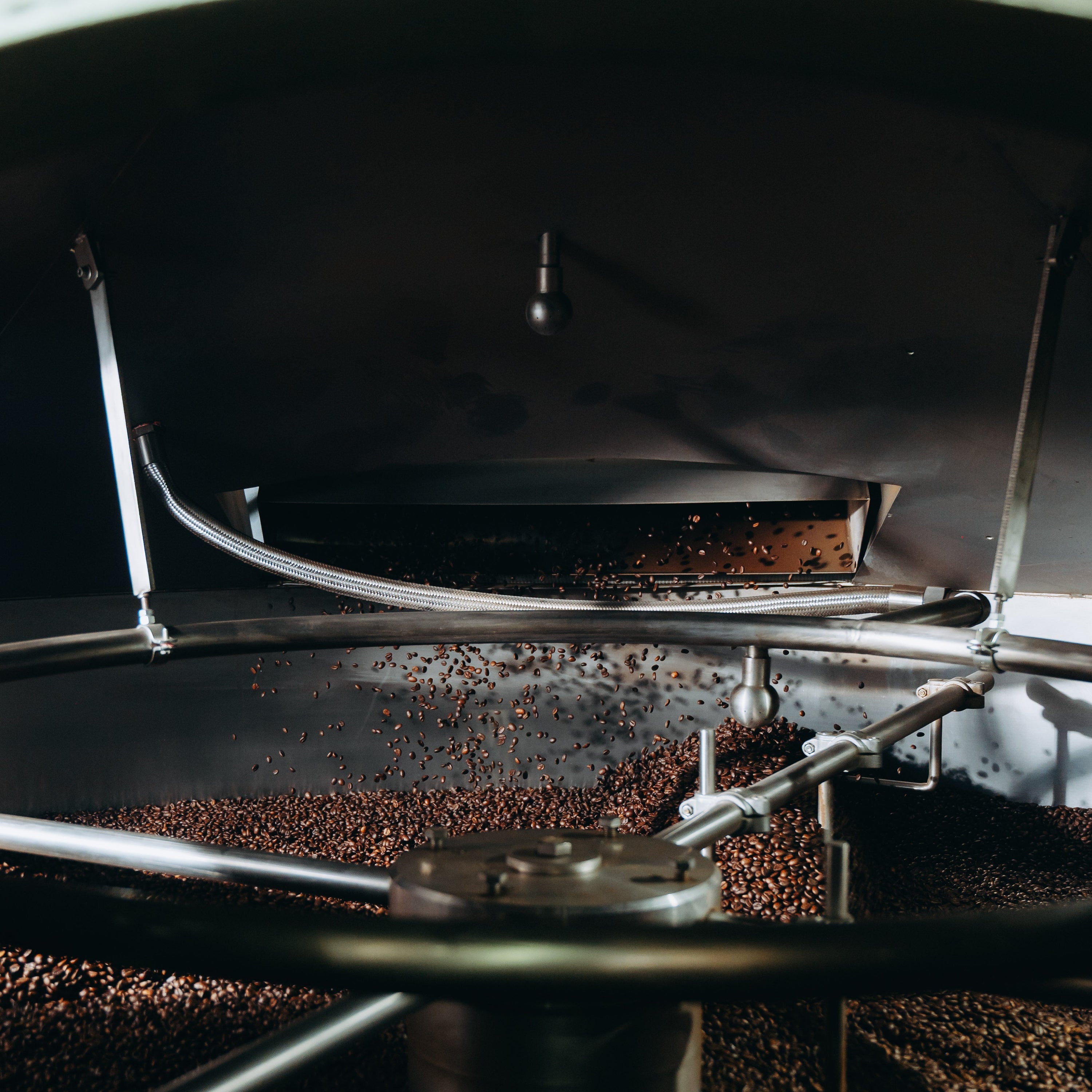 Buy Coffee Beans Online from Primo Caffe